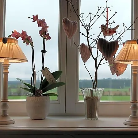 Au Bord De La Source Bed and Breakfast Soy