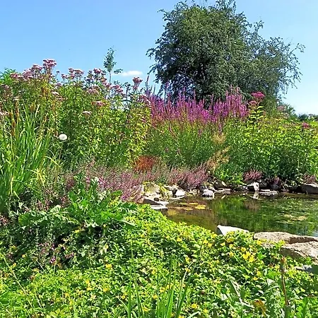 Au Bord De La Source Bed and Breakfast