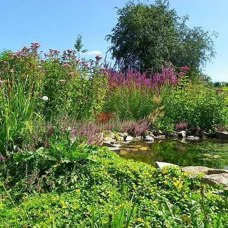 Au Bord De La Source Soy