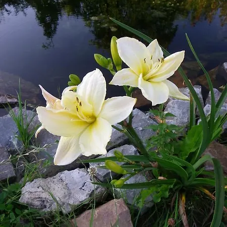 Panzió Au Bord De La Source