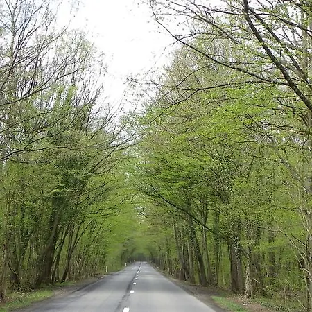 Au Bord De La Source Soy