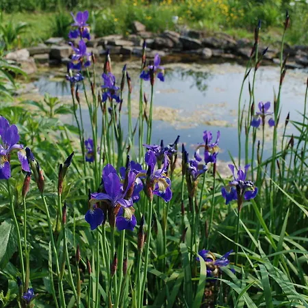 Panzió Au Bord De La Source 3*
