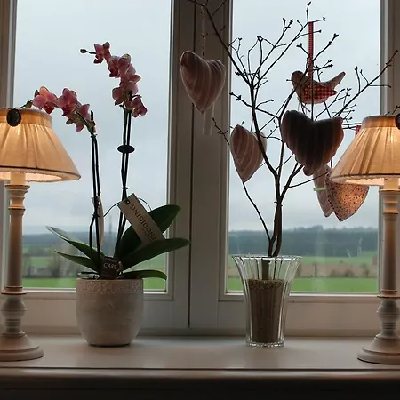Bed & Breakfast Au Bord De La Source *