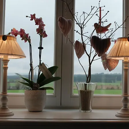 Panzió Au Bord De La Source 3*